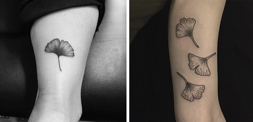 Découvrez des tatouages intéressants inspirés par les feuilles