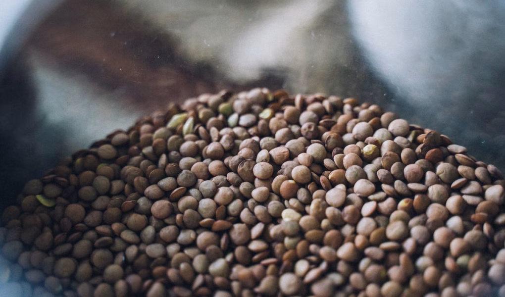 10 astuces pour cuisiner les lentilles