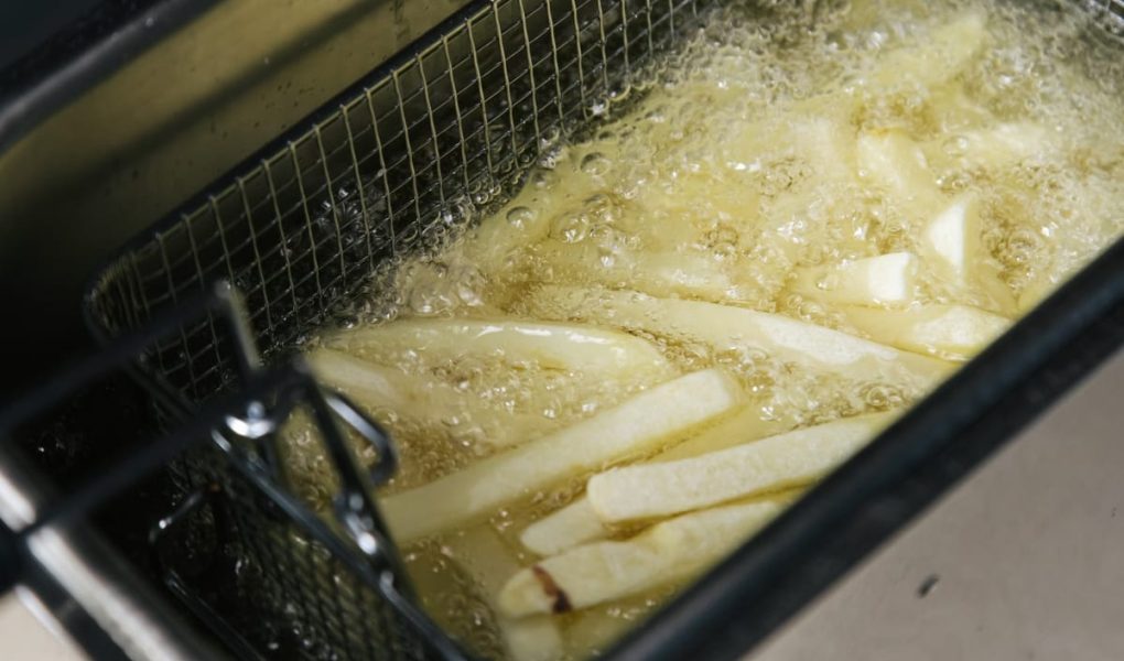 Top 10 Meilleure Friteuse Magimix 2026